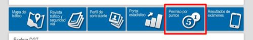 PoluxCriville-DGT.es-Consulta-puntos-carnet-conducir (2)