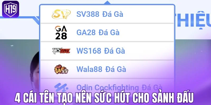 4 cái tên tạo nên sức hút cho sảnh đấu